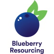 Blueberry Resourcing