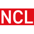 Net Consulting Ltd