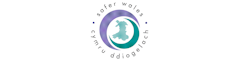 Safer Wales Ltd